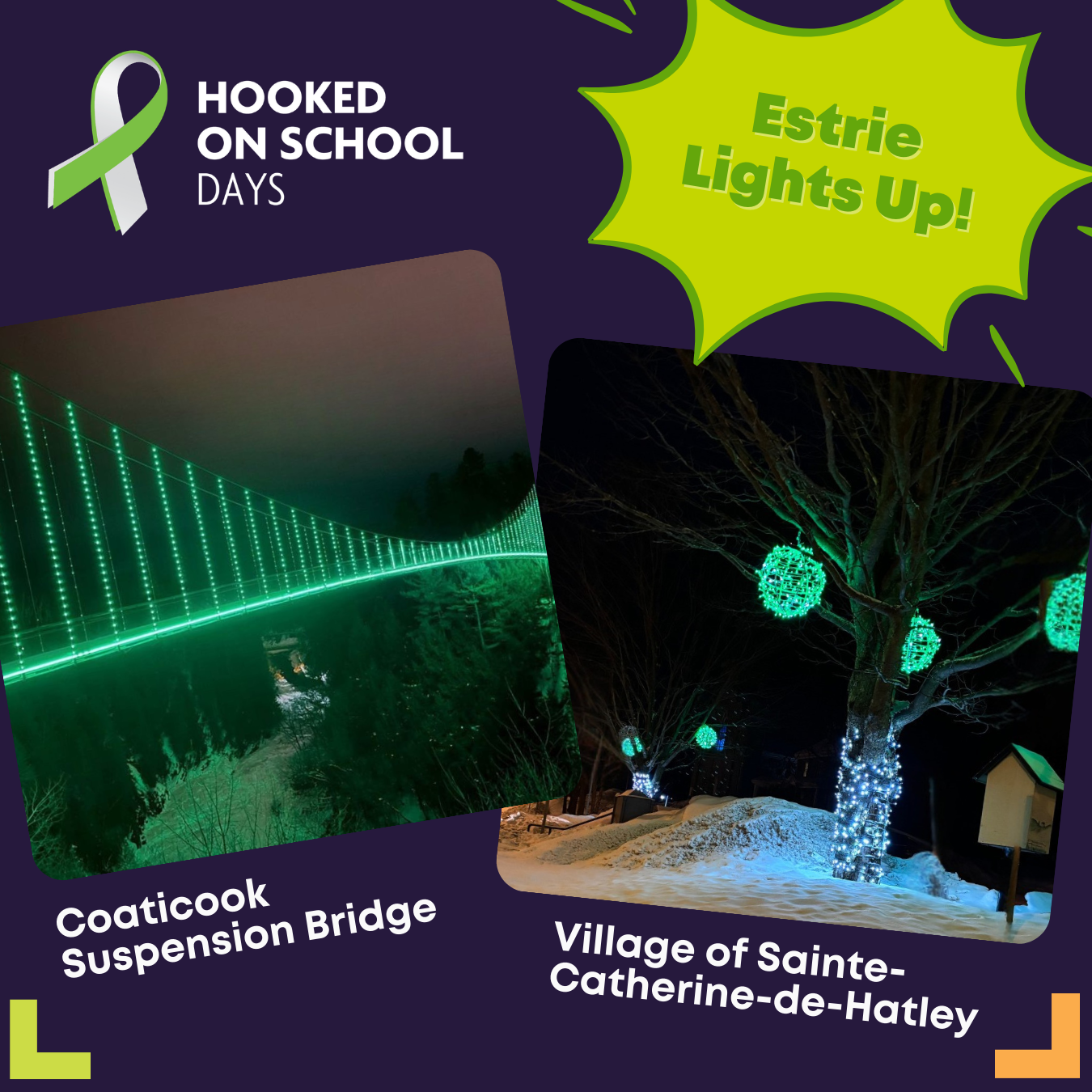 https://stratus.campaign-image.ca/images/10914000001127568_zc_v1_1760461252018_webinaire_11nov2.png