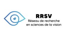 Logo Vision Network