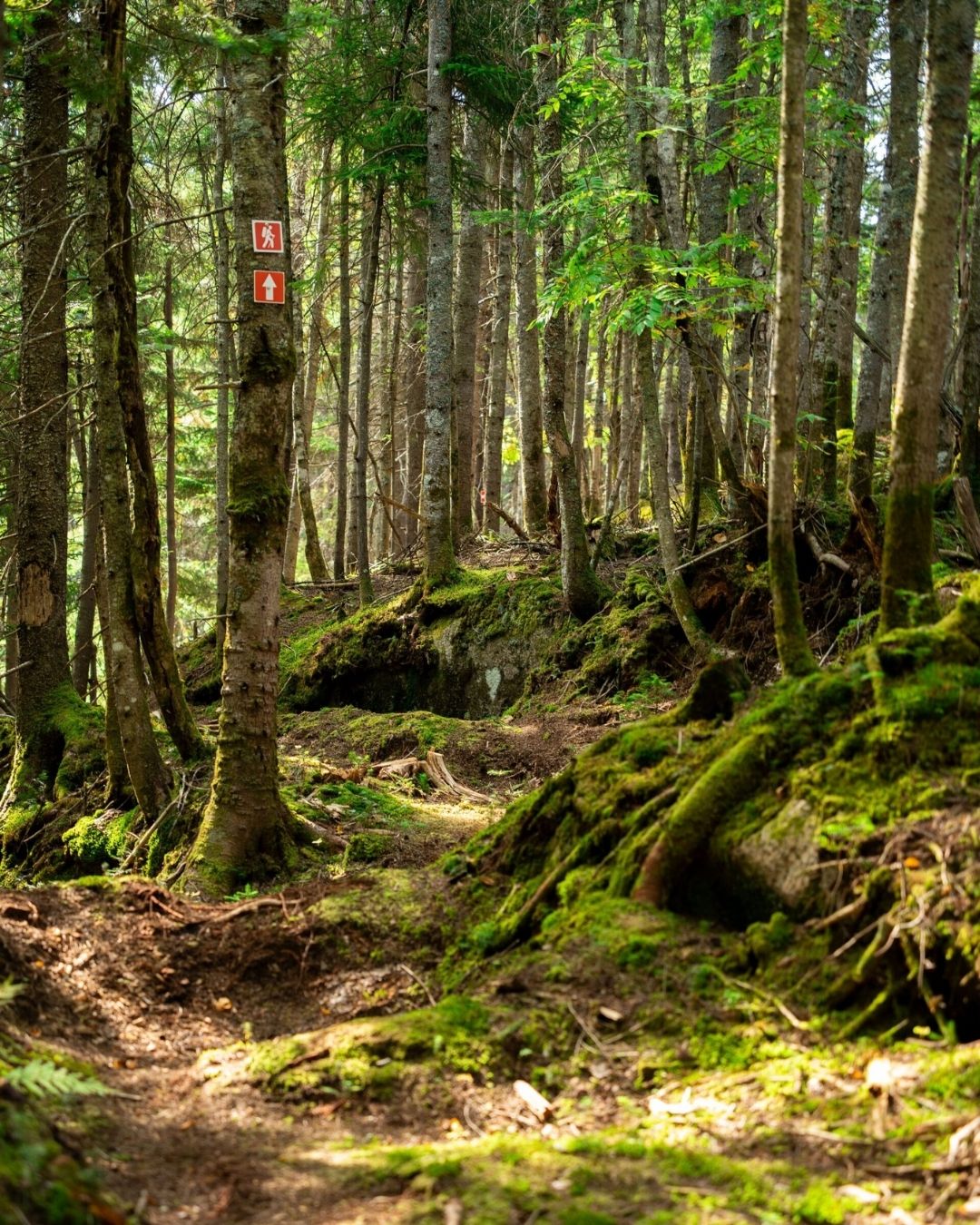 https://stratus.campaign-image.ca/images/3224000003044006_zc_v1_1773948328166_dig_sdm_079a1551.jpg