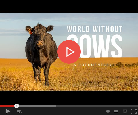 WorldWithoutCows