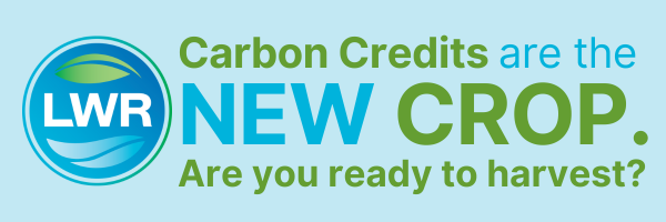 https://stratus.campaign-image.ca/images/5959000000683004_zc_v1_1746066966173_carbon_credits_are_the_new_...._eblast_header.png