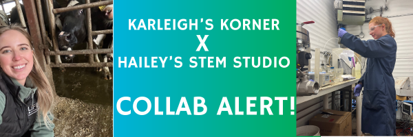 https://stratus.campaign-image.ca/images/5959000000852004_zc_v1_1729823433174___karleigh’s_korner__.png