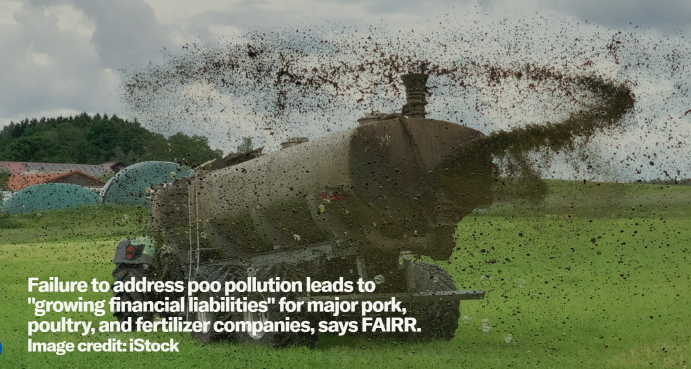 https://stratus.campaign-image.ca/images/5959000000962006_zc_v1_1759267747481_poo_problem_article.png