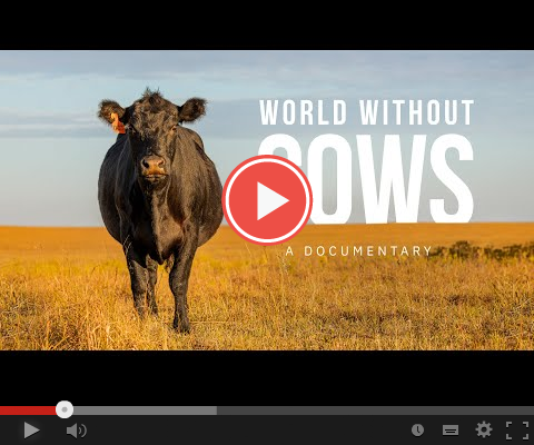 WorldWithoutCows